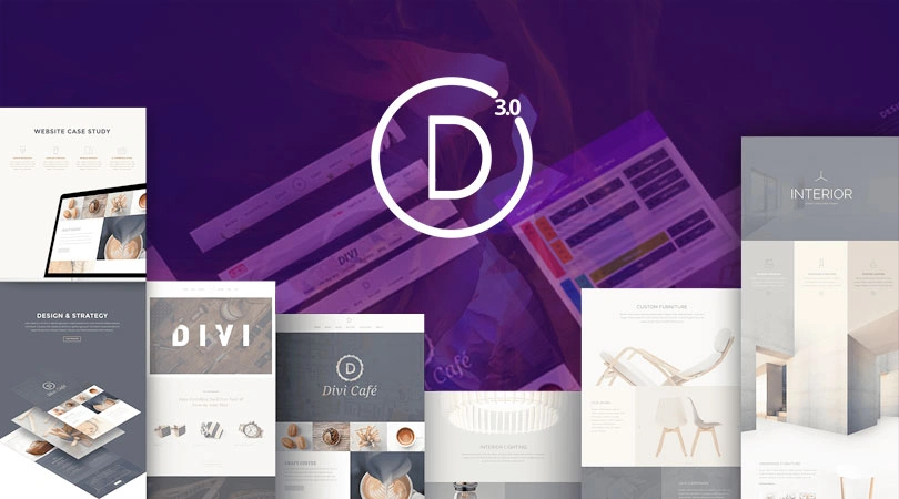 Divi Theme