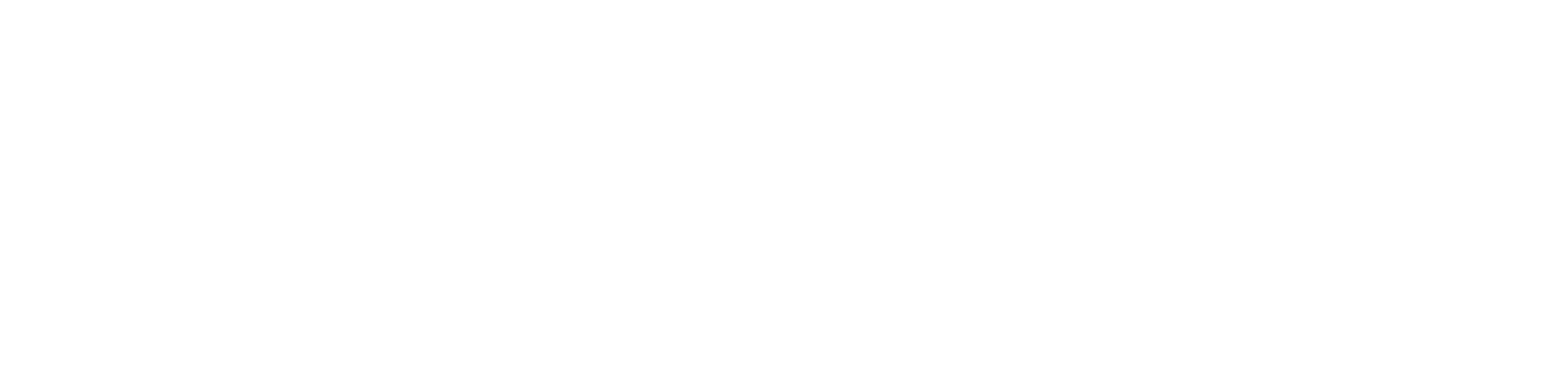 DP Solutions web genisis logo