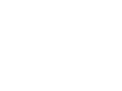 Raising Paddles Professional Auctioneers logo webgenisis 1
